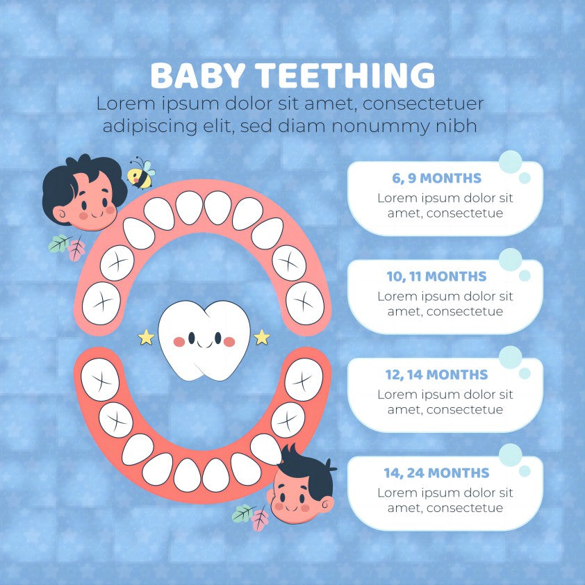 Comprehending the Dentist’s Plan: Tooth Number Chart – Oclean