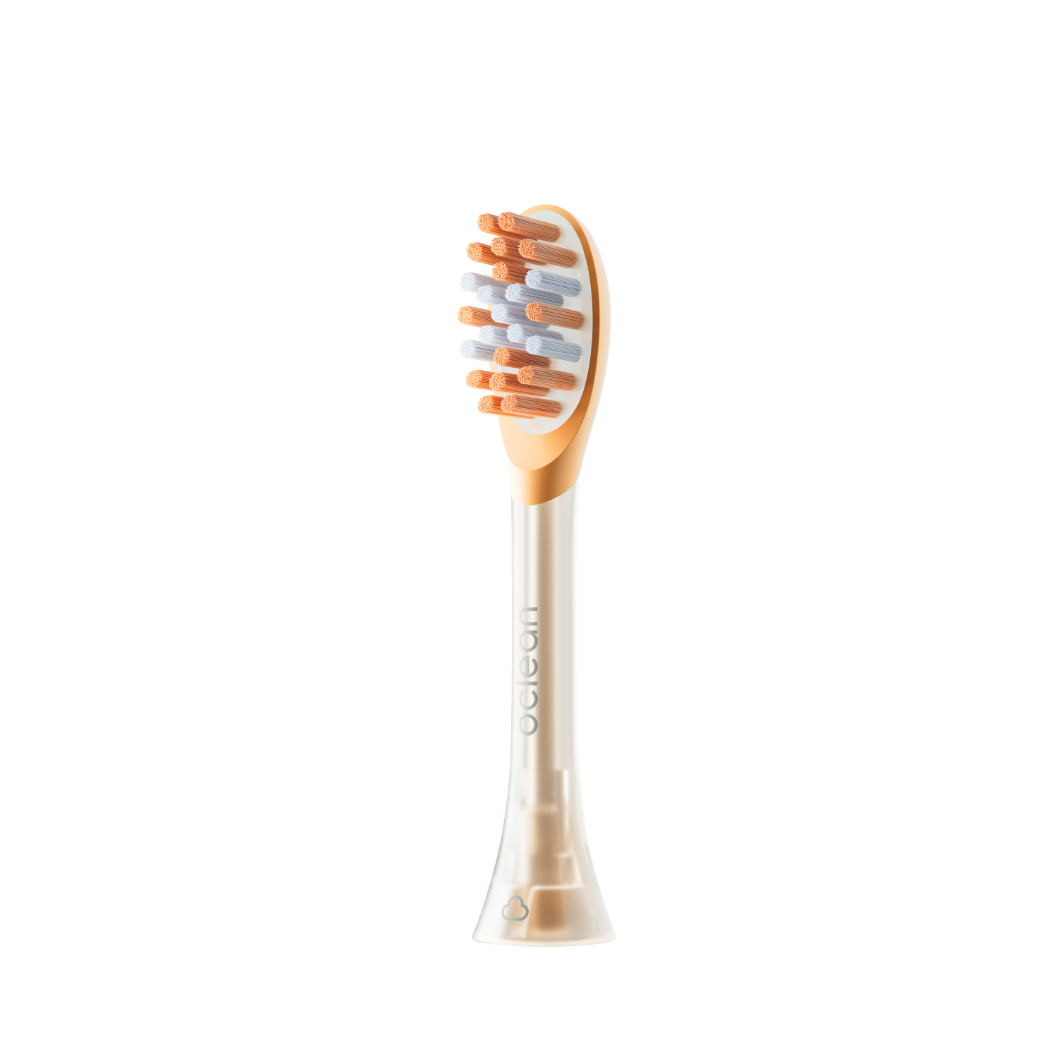 Oclean Accessories-Toothbrush Replacement Heads-Oclean US Store